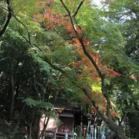 寂光院の写真・動画_image_205376