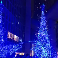 カレッタ汐留の写真・動画_image_205508