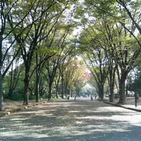 駒沢オリンピック公園の写真・動画_image_205896