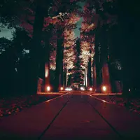 大田黒公園の写真・動画_image_205907
