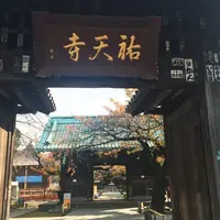 祐天寺の写真・動画_image_205910