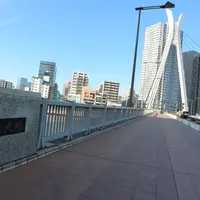 中央大橋の写真・動画_image_206596