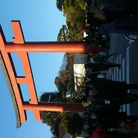 鶴岡八幡宮の写真・動画_image_207253