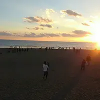 由比ガ浜通りの写真・動画_image_207255