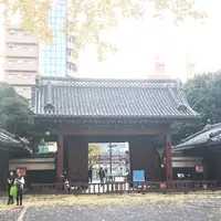 東大 赤門の写真・動画_image_207555