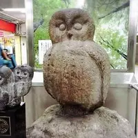 いけふくろうの写真・動画_image_207599