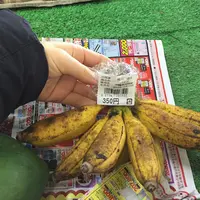 ゆいゆい国頭の写真・動画_image_208517