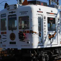 たま電車の写真・動画_image_208932