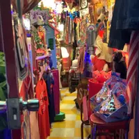 オニグンソーの写真・動画_image_209252