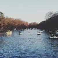 井の頭恩賜公園の写真・動画_image_209431