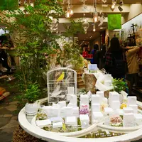 イノブン四条本店の写真・動画_image_210816