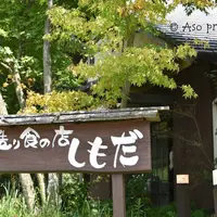 手造り食の店しもだの写真・動画_image_212069