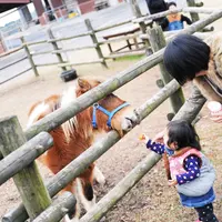 らくのうマザーズ阿蘇ミルク牧場の写真・動画_image_212081