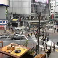 渋谷スクランブル交差点の写真・動画_image_212193