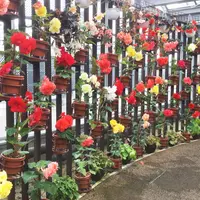 兵庫県立フラワーセンターの写真・動画_image_212433