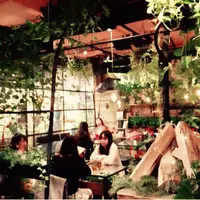 青山フラワーマーケット ティーハウス 南青山本店 （Aoyama Flower Market TEA HOUSE）の写真・動画_image_212563