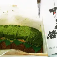 【閉業】茶洛の写真・動画_image_212721