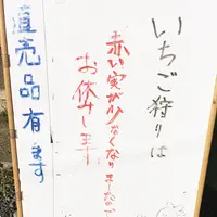 安田いちご園の写真・動画_image_212739