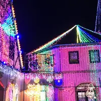 東京ドイツ村の写真・動画_image_212742