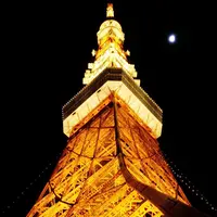 東京タワーの写真・動画_image_212751