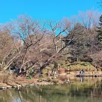 有栖川宮記念公園の写真・動画_image_213446