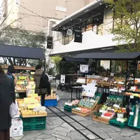TENOHA & STYLE STORE (テノハ代官山)の写真・動画_image_213461