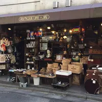 アンティークライフジンの写真・動画_image_213485