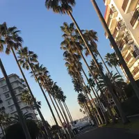 逗子マリーナの写真・動画_image_213538