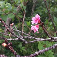 バンナ公園の写真・動画_image_213671
