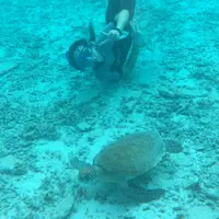 阿真ビーチの写真・動画_image_213804
