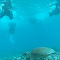 阿真ビーチの写真・動画_image_213910