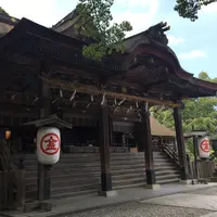 金刀比羅宮（こんぴらさん）の写真・動画_image_214079