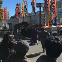 相撲博物館の写真・動画_image_214176