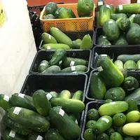 道の駅いとまんの写真・動画_image_214703