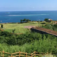 知念岬公園の写真・動画_image_214710