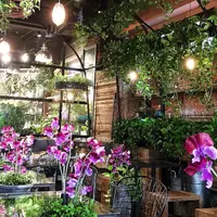 青山フラワーマーケット ティーハウス 南青山本店 （Aoyama Flower Market TEA HOUSE）の写真・動画_image_214776