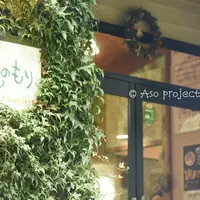 あっぷるみんとハーブ農園・自然食レストラン 風のもりの写真・動画_image_214812