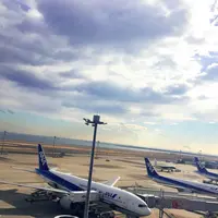 第2ターミナル 展望デッキの写真・動画_image_214826