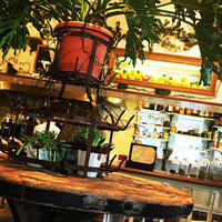 Mother earth Cafeの写真・動画_image_215020