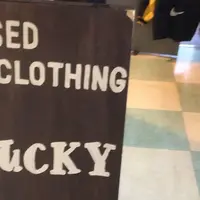 lucky yokohamaの写真・動画_image_215046