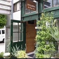 フェローズの写真・動画_image_215128