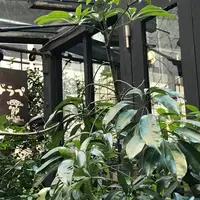 カフェド・ラペの写真・動画_image_215152