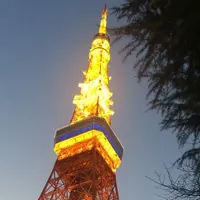 東京タワーの写真・動画_image_215179