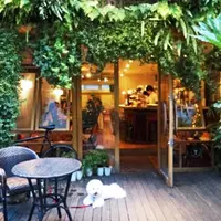 hiki cafe（ヒキカフェ）の写真・動画_image_215295