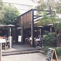 crisscross （クリスクロス）の写真・動画_image_215470