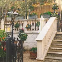 表参道 Bambooの写真・動画_image_215475