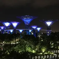 ガーデンズ・バイ・ザ・ベイの写真・動画_image_215789