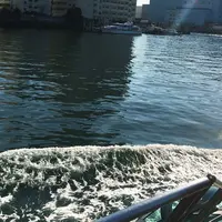 隅田川の写真・動画_image_215795
