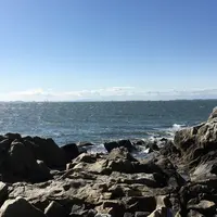 橋田鼻の写真・動画_image_215806