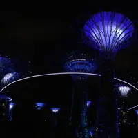 ガーデンズ・バイ・ザ・ベイの写真・動画_image_215883